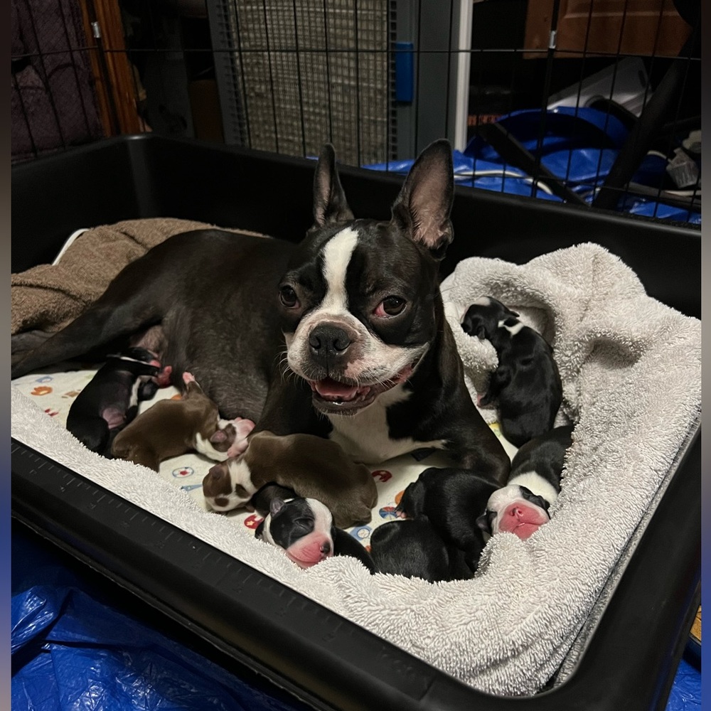 Might Be Slower To Respond Because We Have Babies!